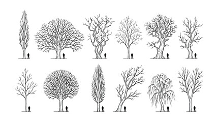 Minimalist architectural tree sketches, set of 12 hand drawn deciduous tree silhouettes for landscape design, black and white vector line art © Ahmad