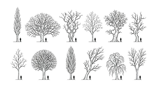 Minimalist architectural tree sketches, set of 12 hand drawn deciduous tree silhouettes for landscape design, black and white vector line art