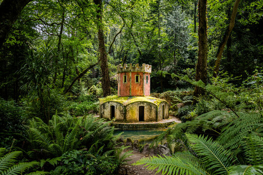 An old well in the mystical Sintra National Park near Pena Palace