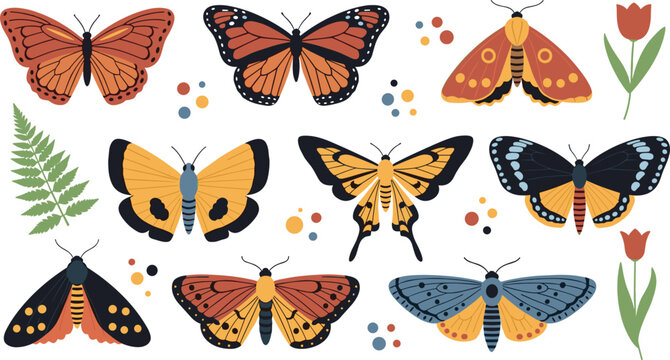 Beautiful Butterfly and Moth Vector Collection with Various Colorful Insect Species, Fern Leaves, and Tulips Isolated on White BackgroundBeautiful Butterfly and Moth Vector Collection with Various Col