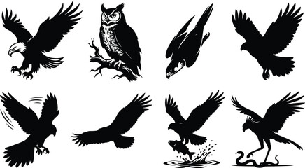 Naklejka premium Birds of prey and raptor wild predators black vector silhouette icons set isolated on white background