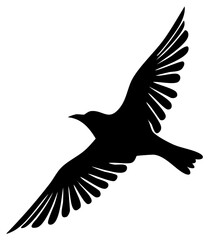Obraz premium Flying crow silhouette in mid-air, wings spread. Isolated black raven. Vector illustration.