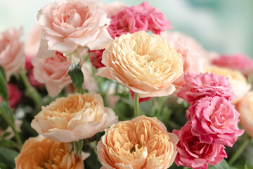 Obraz premium Close up pastel garden roses with pink and cream petals in soft floral arrangement. Colorful flowers festive background. Floral concept.