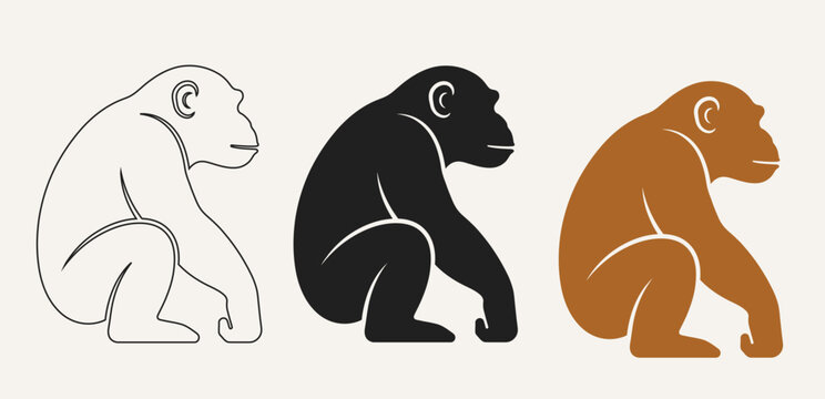 Three cartoon monkeys sitting in different styles