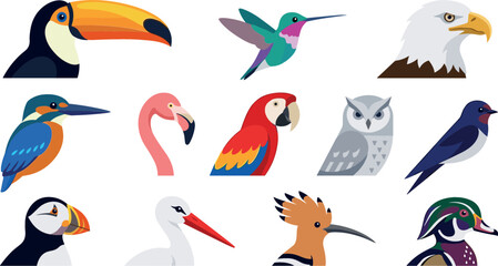 Flat design bird portraits icon set including toucan hummingbird eagle kingfisher flamingo parrot owl puffin stork hoopoe duck isolated on white background vector illustration © MdMehedi