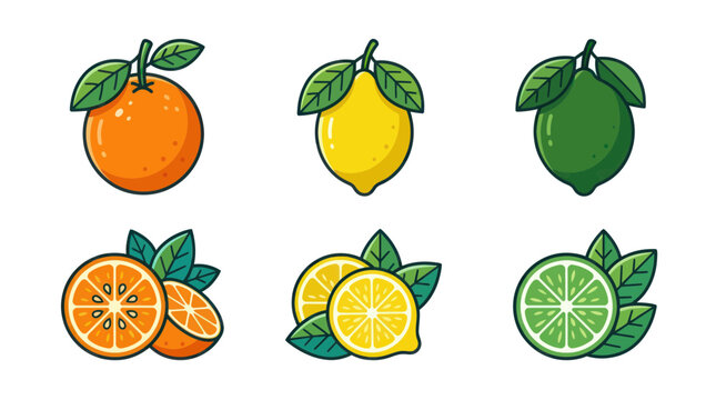 Set of Fresh Citrus Fruits: Orange, Lemon, Lime - Icons and Slices