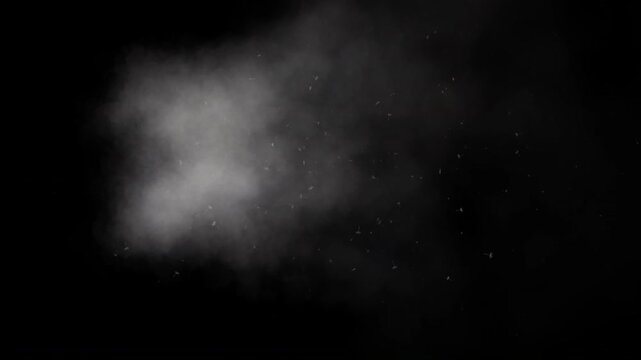 White smoke dust particles floating on black background