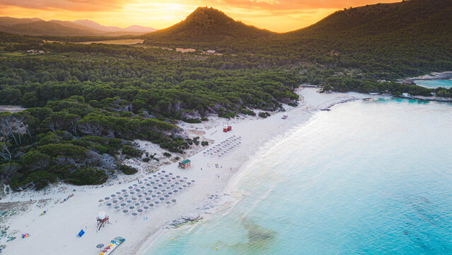 Aerial sunset view of Cala Agulla beach with turquoise sea and pine forest, Mallorca, Spain