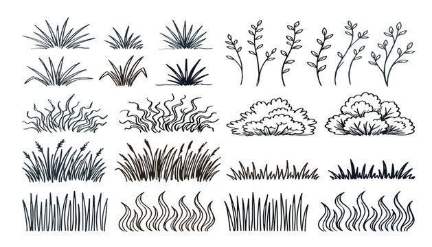 Hand drawn grass and shrub collection. Tufts, weed bunches, leafy branches, bushes and botanical plant borders for natural landscape illustrations.