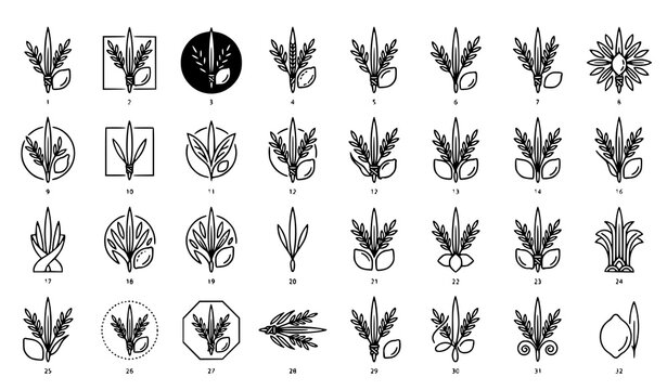 Four Species Religious Outline Icon Set Thin Line Editable Stroke Vector Collection