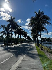 Fototapeta premium Palm lined E Las Olas Blvd
