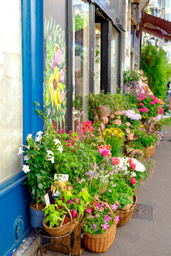 Flower Shop Exterior in Paris