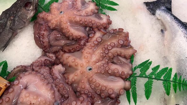 Fresh octopuses displayed with fish on crushed ice at a seafood market