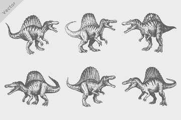dinosaurs collection in vintage engraving style illustration. Hand-drawn dinosaurs featuring triceratops, pterodactyl, stegosaurus, and brachiosaurus vector © SAGOR