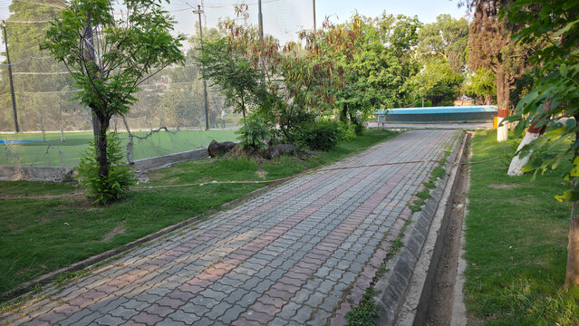 Cobblestone Path Leading Through a Lush Green Garden with Trees and Sunlight