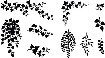 Climbing vines hanging berry garlands and branches vector silhouette set © SHARMIN