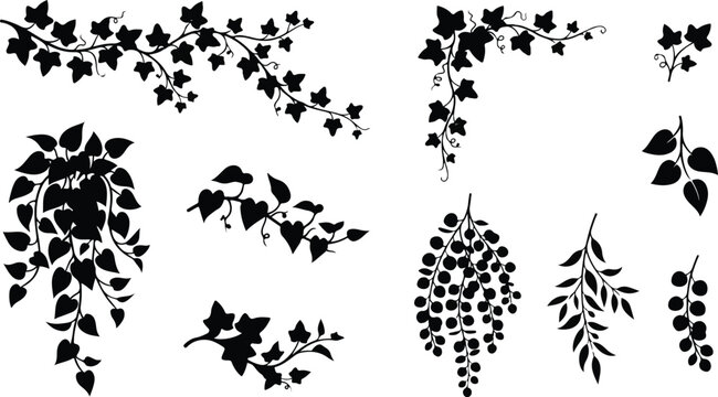 Climbing vines hanging berry garlands and branches vector silhouette set
