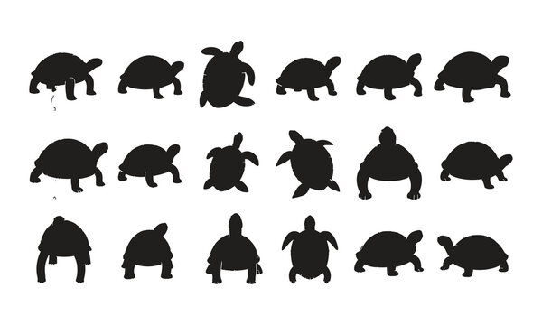 Set of turtle silhouettes