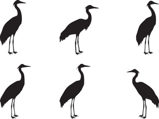 Obraz premium Collection of crane bird silhouettes, elegant wading bird vector illustration set, black wildlife design elements isolated for creative projects