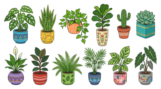 House plant collection in colorful handmade ceramic pots indoor botanical vector illustration isolated on white background