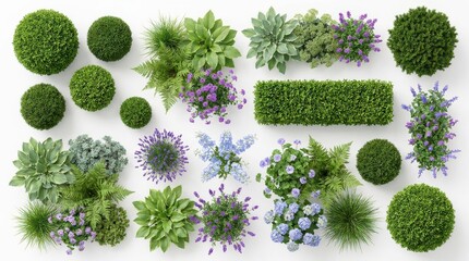 Naklejka premium Top view collection of garden plants flowers and shrubs for landscape design.