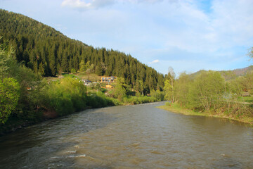 Fototapeta premium Scenic mountain river flowing through green valley with hillside pine forest
