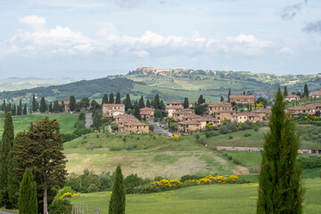 Naklejka premium Idylle im Val d‘Orcia, Toskana (Italien) - Sanfte Hügel, grüne Wiesen, weltberühmte Zypressenalleen und mittelalterliche Renaissance-Dörfer prägen die UNESCO-Weltkulturerbe-Landschaft.