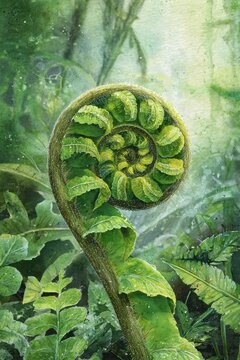 Illustration of a koru spiral fern unfolding, lush green tones and gentle natural light