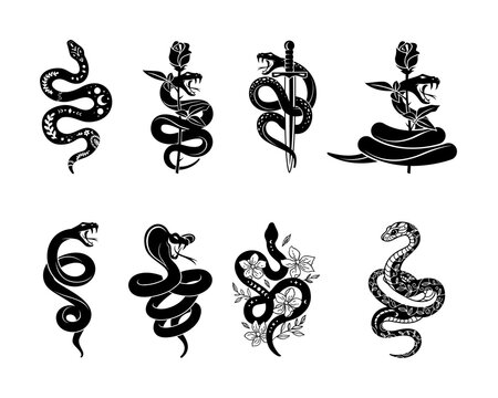 Mystic Snake and Dagger Tattoo Vector Illustration, Black Serpent Twined Around Sword Flower Rose Clip Art, Gothic Esoteric Wiccan Magic Graphic Elements, Poisonous Reptile Line Art Collection