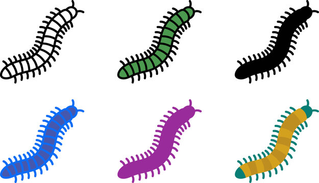 Colorful millipedes in different colors on white background