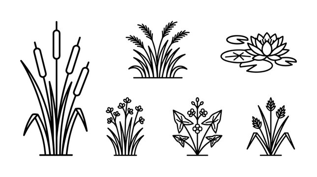 A collection of simple line art icons depicting various aquatic plants like cattails, reeds, and water lilies.
