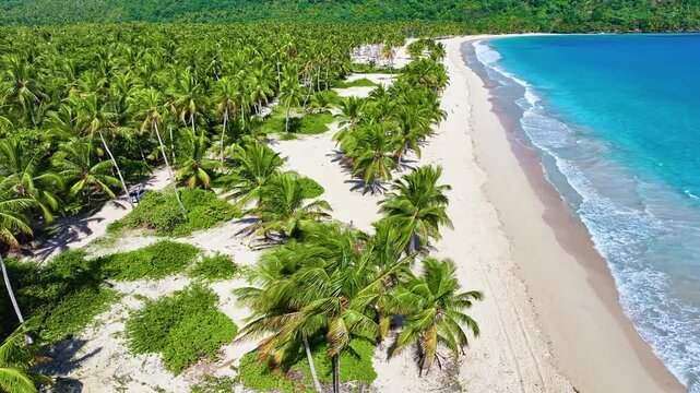 Walking along the white sand of a palm-fringed beach on a sunny day. Turquoise waves on the shore. Summer vacation on a tropical island with beautiful palm trees. View of a beautiful tropical beach.