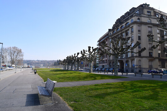 Lake geneva promenade with pollarded trees and architecture
