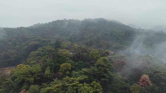 Miyajima, Hiroshima, Japan - A misty island coastline and forested mountains