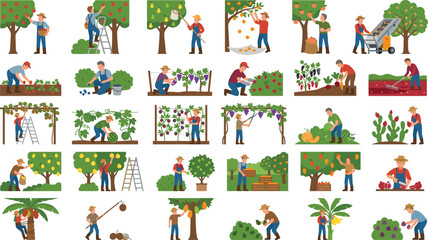 Fototapeta premium People harvesting fruits and vegetables on a farm collection of various agriculture activities