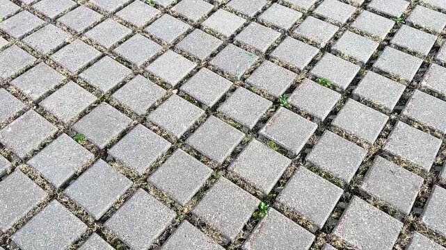 Concrete interlocking paver blocks creating a garden path texture with green growth