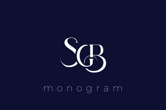 SWB Elegant Monogram Logo Design With Decorative Lettering