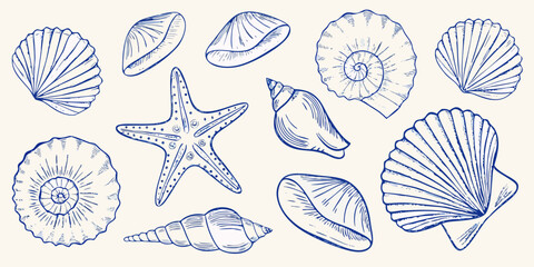 Ocean Seashells And Starfish Blue Line Art Illustration Collection © Dilip