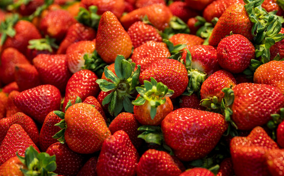 Fresas frescas y maduras expuestas en un mercado local