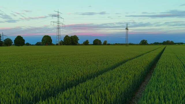 Green winter wheat field in Bavaria, Germany with high voltage power lines and transmission towers. Rural landscape highlighting agriculture, food production and energy infrastructure.