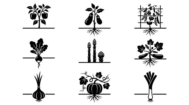 A grid of nine stylized black and white icons, each depicting a different vegetable plant growing from roots.