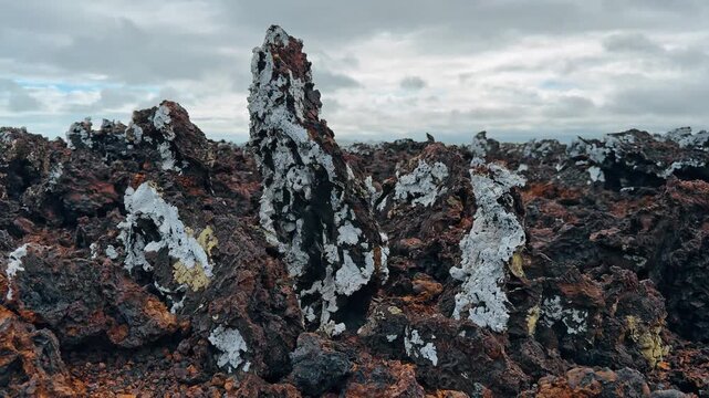 Lichen covered lava spires at Las Tintoreras, Isabela Island, Galapagos. Detailed close up of oxidized basalt with white crusty patches under gray clouds.