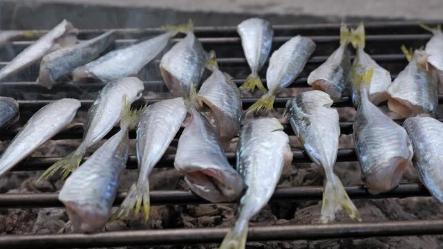 Fresh mackerel fish grilling on a charcoal barbecue