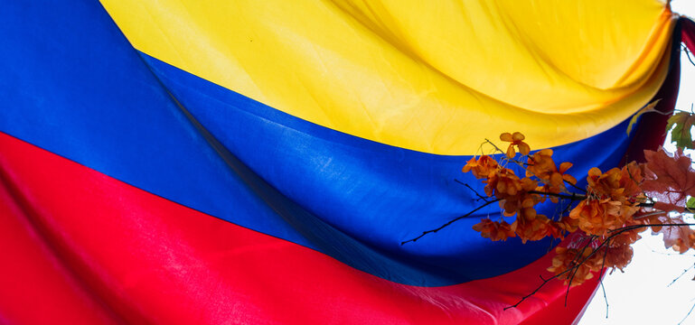 Bandera de Colombia ondeando con flores decorativas en primer plano y colores nacionales vibrantes