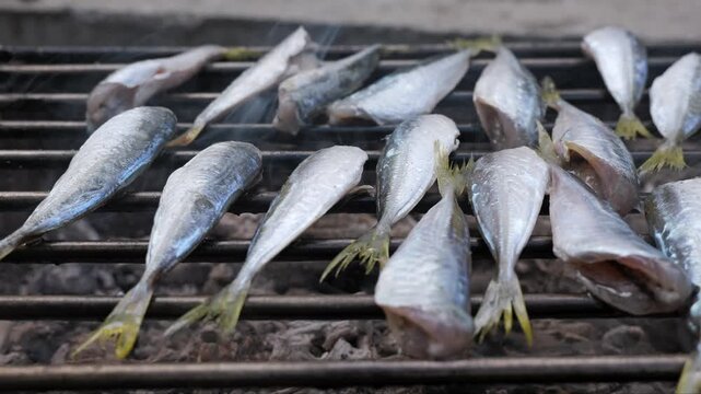 Fresh mackerel fish cooking on a charcoal barbecue grill