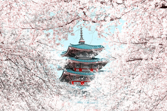 Seoul, South Korea. Gyeongbokgung Palace and cherry blossoms.