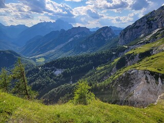 Fototapeta premium swiss alps in the alps