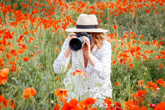 Front view of woman photographer crouching in poppy field with camera covering face. Anonymity concept, mystery character, photographer perspective and professional stock imagery.