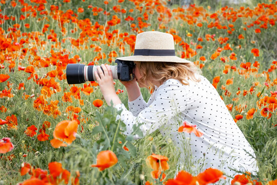 Side view of woman photographer crouching low in poppy field with long telephoto lens. Wilderness photography, backstage of reportage shooting, summer wildlife hunting and hobby.