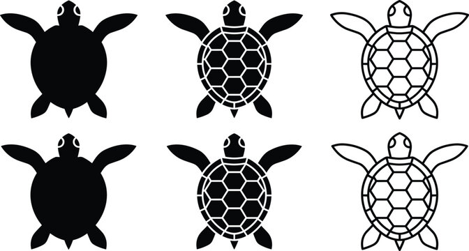 Turtle illustration set with silhouette, patterned, outlined shell styles, aquatic animal design vector artwork